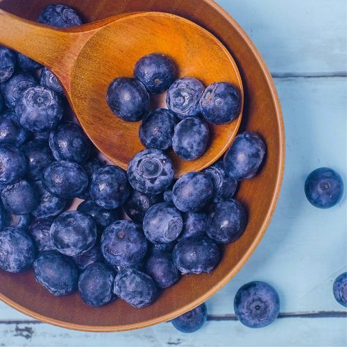 Can Dogs Eat Blueberries Daily? Health Benefits and What You Need to Know