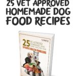 How To Make Homemade Dog Food A Vet Approved Recipe You Can Trust