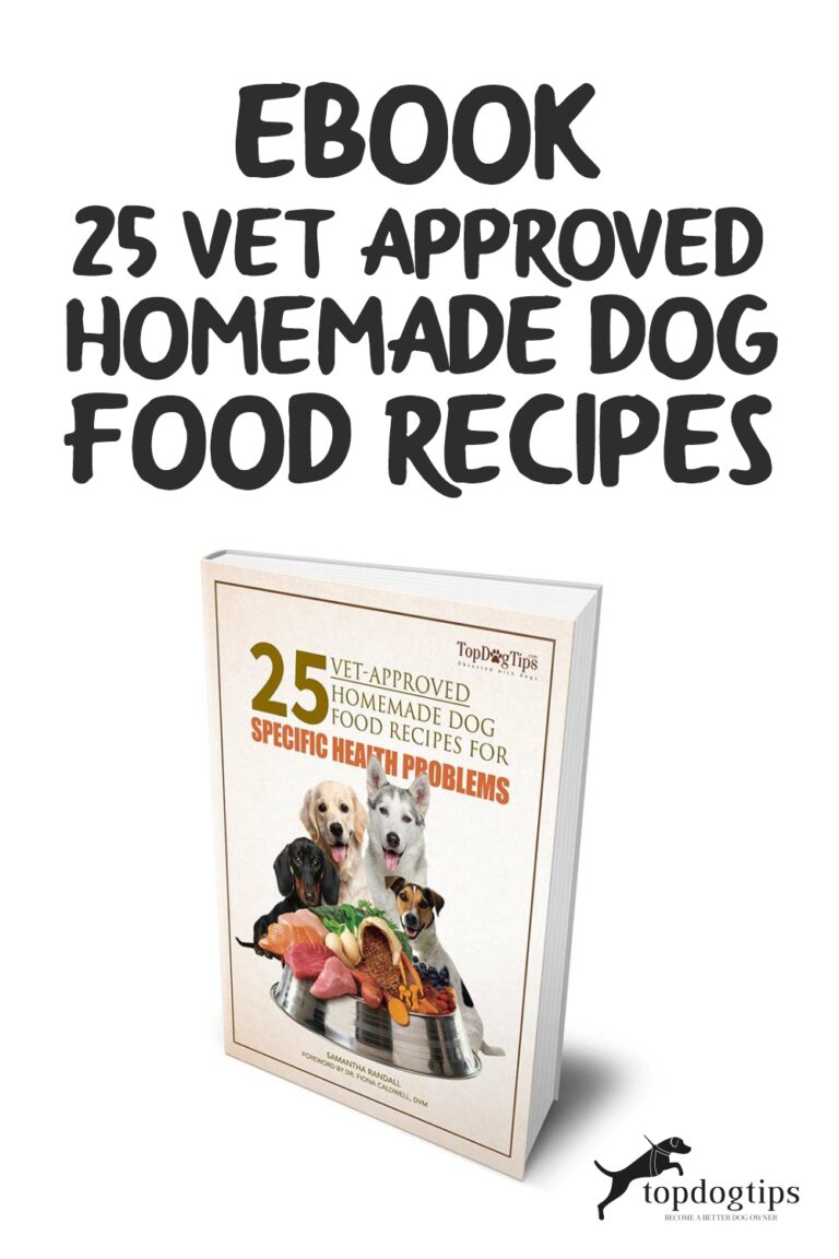 How to Make Homemade Dog Food: A Vet-Approved Recipe You Can Trust