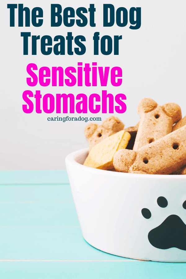 How To Make Homemade Dog Treats For Sensitive Stomachs
