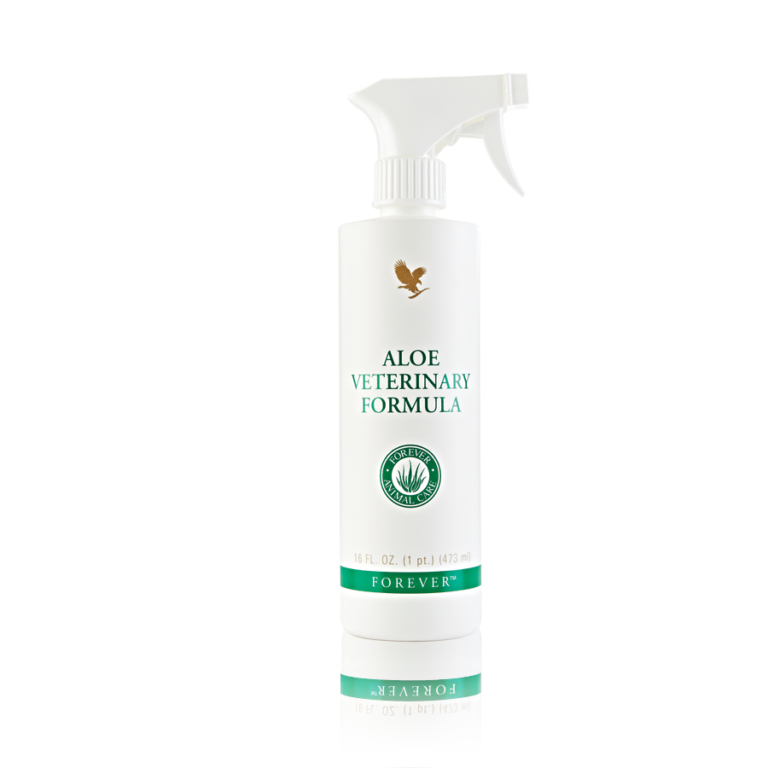 How To Use Aloe Vera On Dogs Safely A Complete Skin Guide