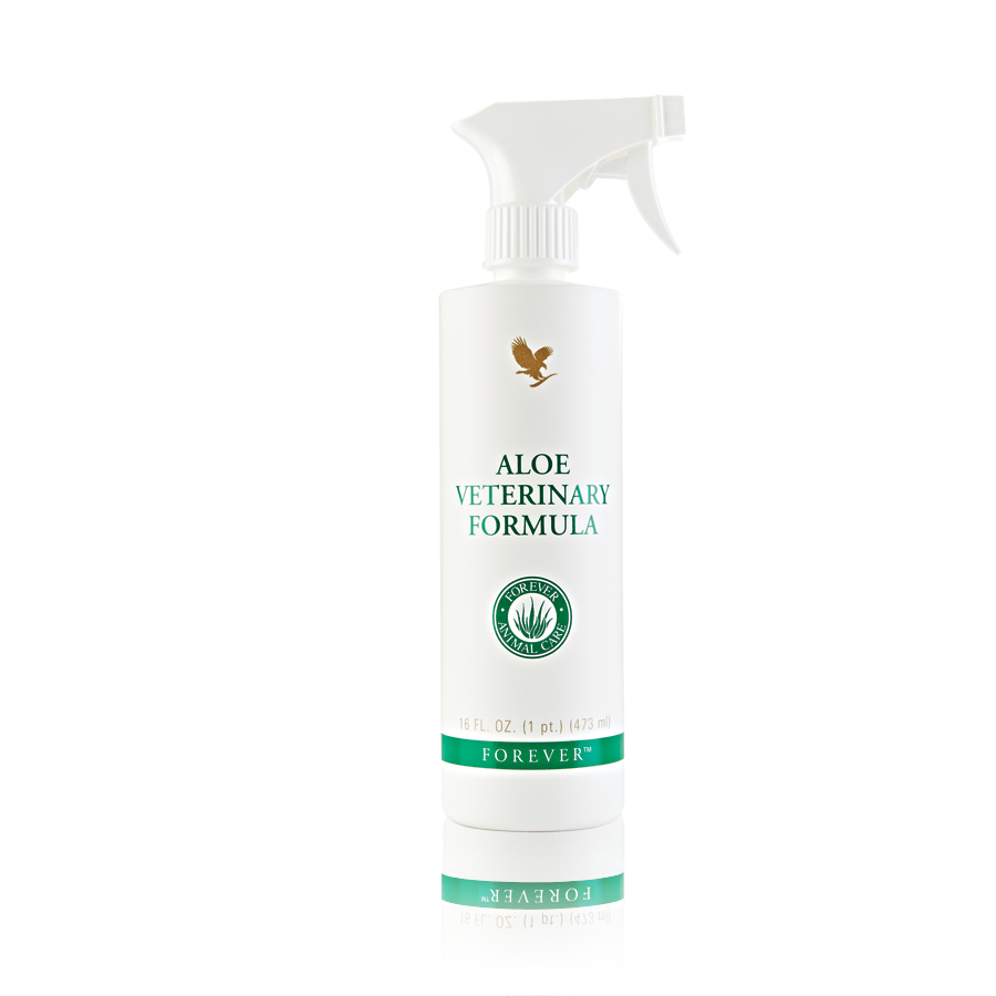 How To Use Aloe Vera On Dogs Safely A Complete Skin Guide
