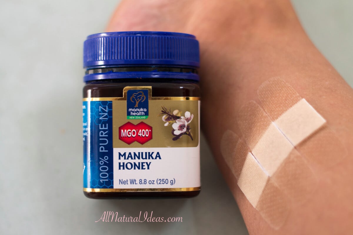 How To Use Manuka Honey On Dog Wounds A Complete Guide For Pet Owners