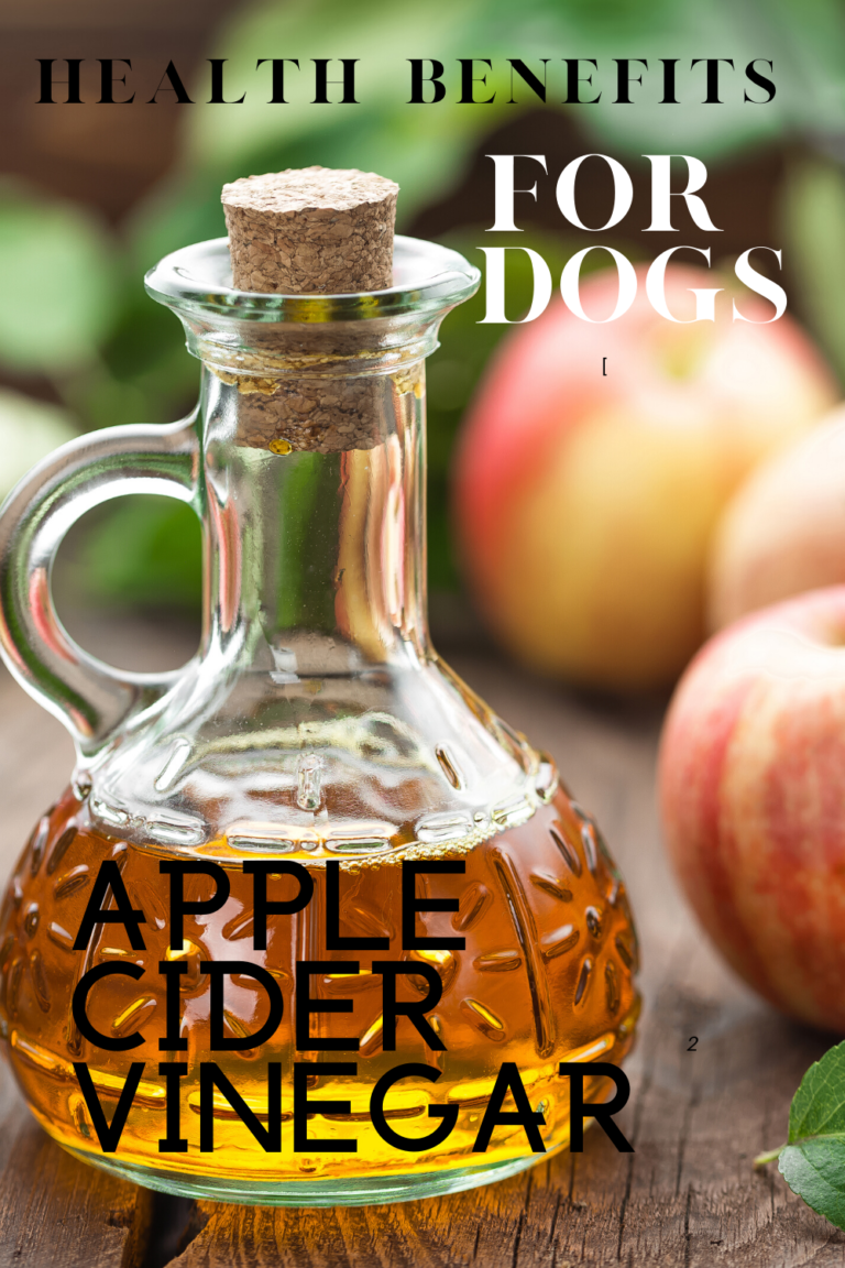 Is Apple Cider Vinegar Safe for Dogs’ Skin? A Complete Guide for Pet Owners
