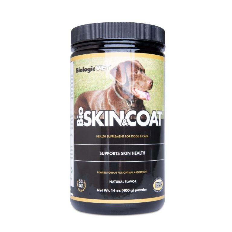 Is Raw Egg Good For Dogs Coat And Skin A Complete Guide