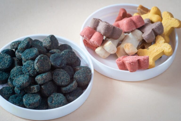 Is Spirulina Safe For Dogs As A Daily Supplement A Complete Guide For Pet Owners