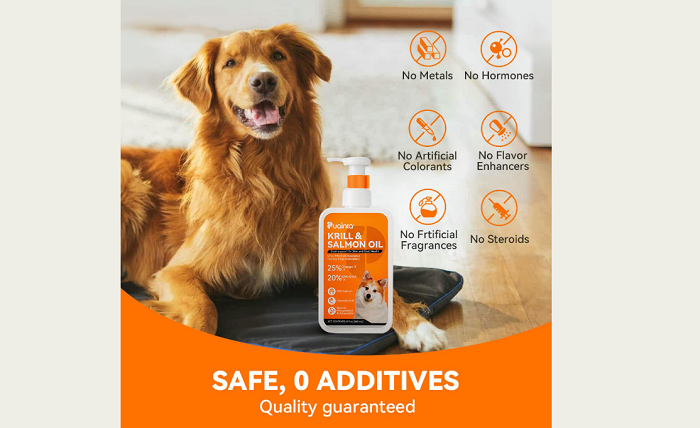 Signs Your Dog Needs More Omega 3 In Diet