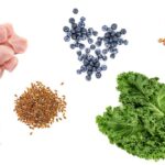 Signs Your Pet Food Has Too Many Fillers