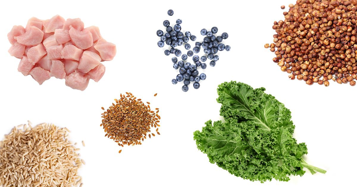 Signs Your Pet Food Has Too Many Fillers