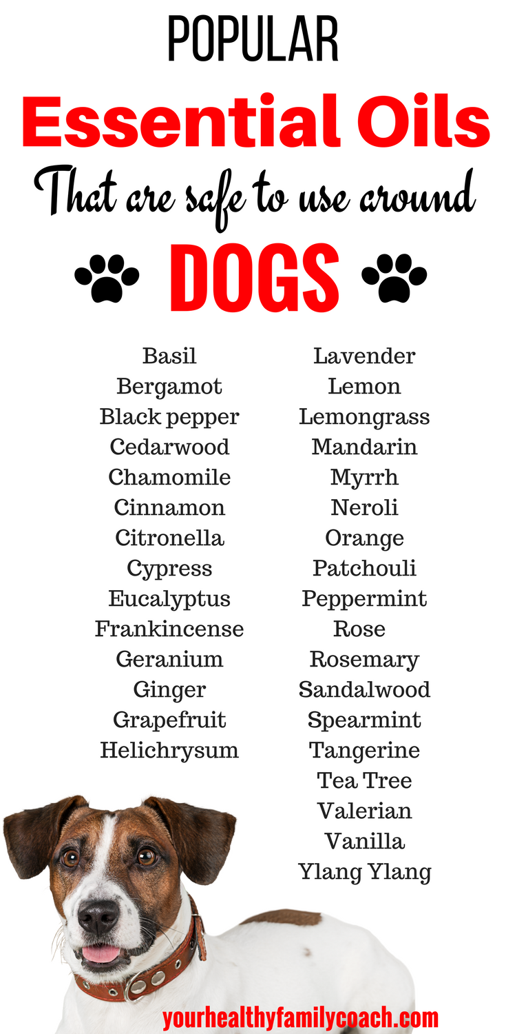 What Essential Oils Are Safe To Use Around Dogs