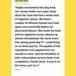 What Herbs Are Safe For Dogs Digestive Health