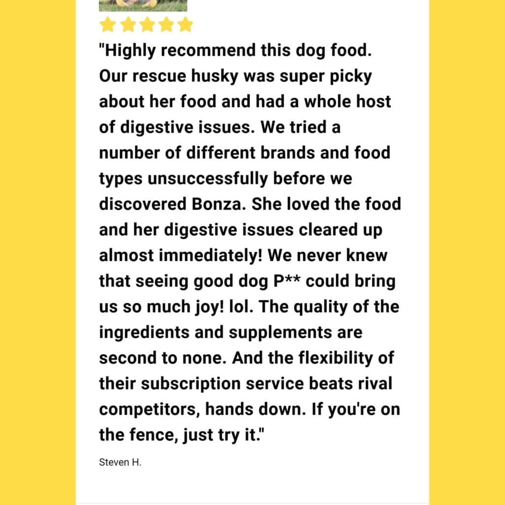 What Herbs Are Safe For Dogs Digestive Health